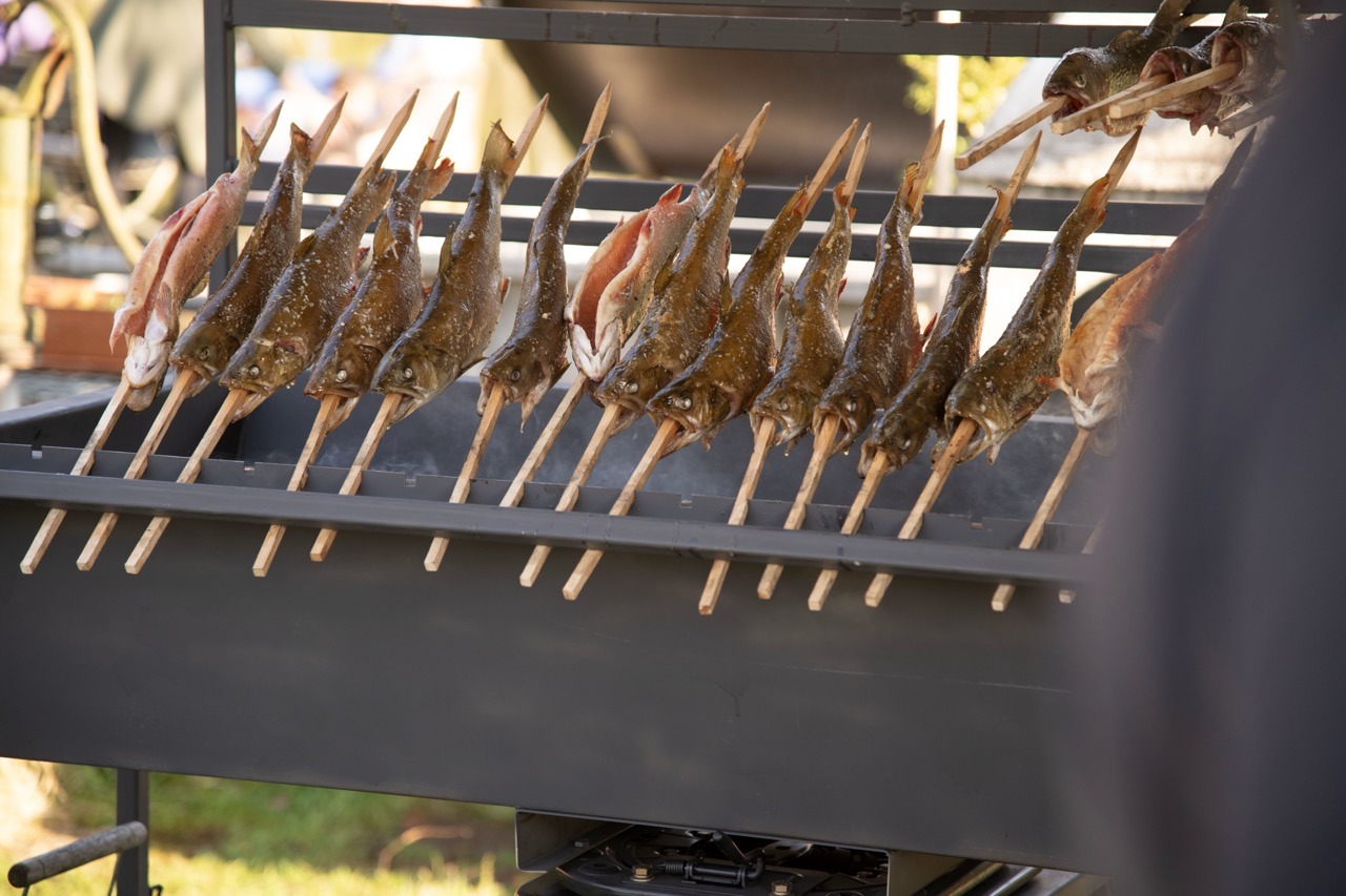 Unsere Fische fangfrisch auf den Grill